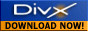 DIVX: Download Now!